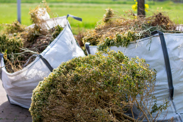 Trusted Georgetown, KY Junk Removal Experts